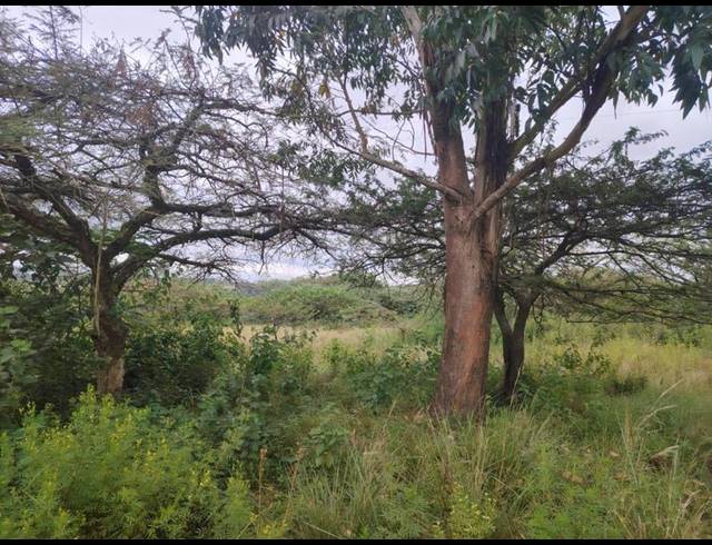 LAND FOR SALE IN CLIFFDALE